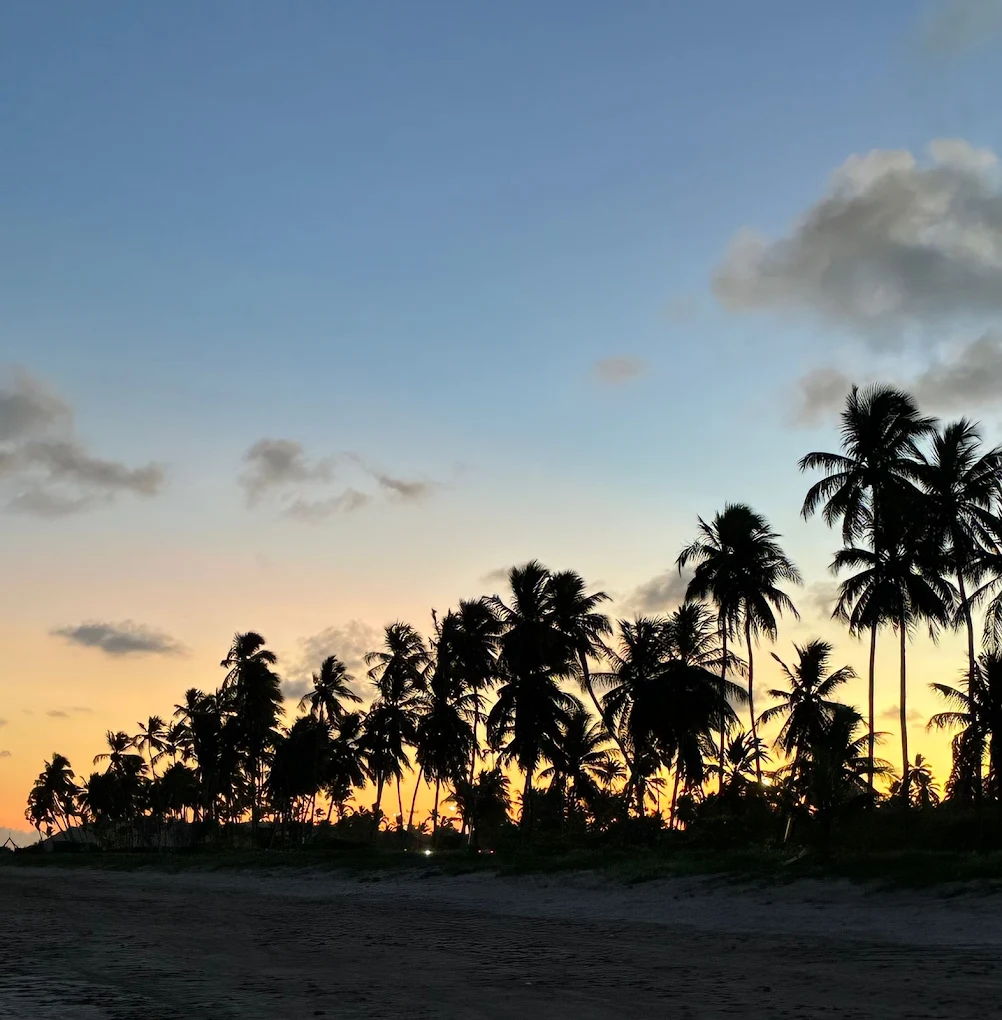 Pôr do sol dourado entre os coqueirais do loteamento Mar de Japaratinga