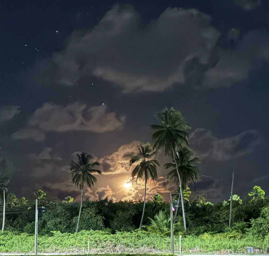 Lua cheia sobre os coqueirais do Mar de Japaratinga à noite