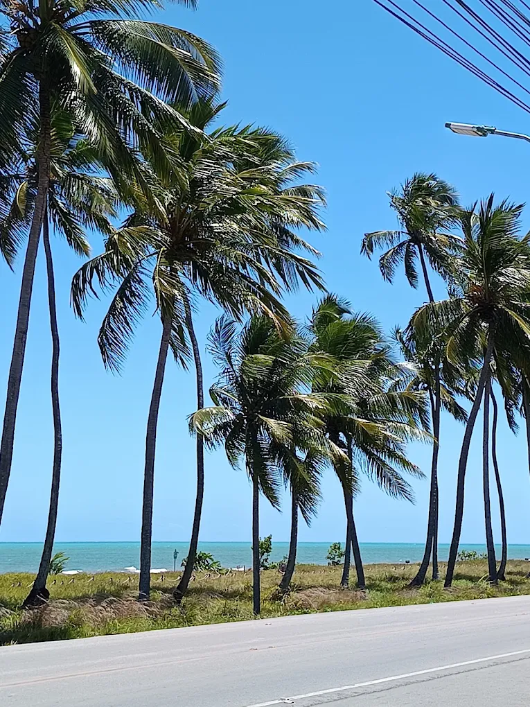Mar de Japaratinga